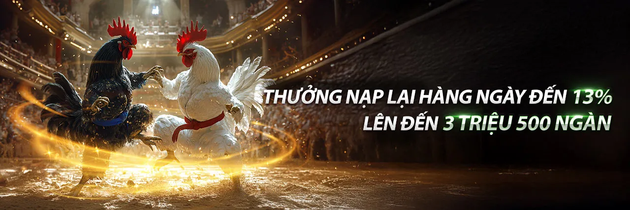 Hình nền đá gà trực tiếp Thomo